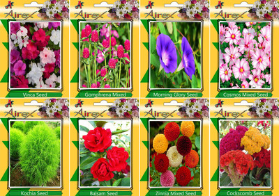 

Airex Vinca, Gomphrena Mixed, Morning Glory, Cosmos Mixed, Kochia, Balsam, Zinnia Mixed, and Cockscomb Seed(25 per packet)