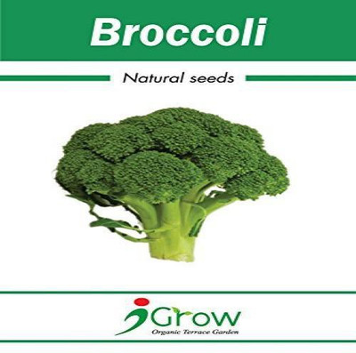 iGrow Broccoli Seed(100 per packet)