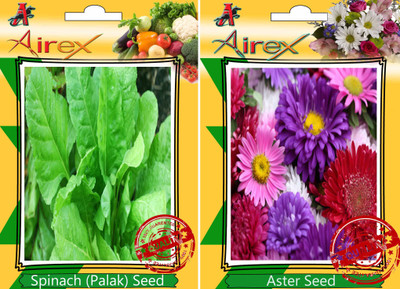 Airex Spinach, Aster Seed(15 per packet)