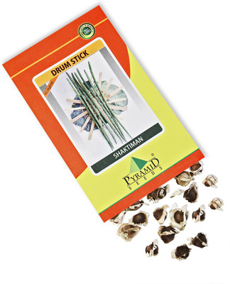 

Pyramid Seeds Drumstick Seed(100 per packet)