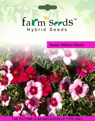 

FARM SEEDS Sweet william Mixed Seed(100 per packet)