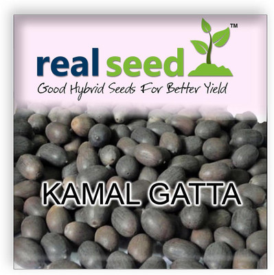 

Real Seed Kamal Gatta Seed(10 per packet)