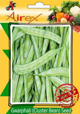 

Airex Gwarphali (Cluster Bean) Seed(15 per packet)