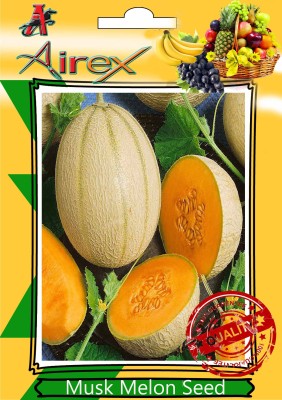 Airex Musk Melon Seed(15 per packet)