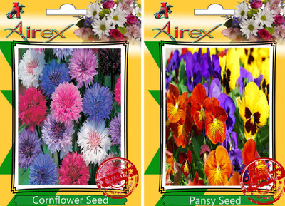

Airex CornFlower, Pansy Seed(30 per packet)