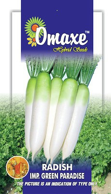

Omaxe Radish Seed(1 per packet)