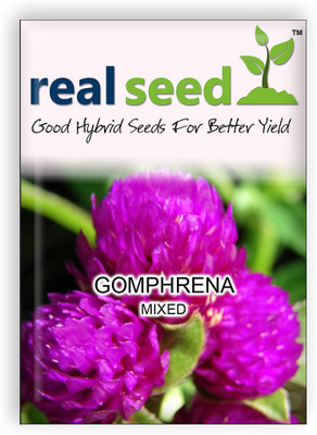 

Real Seed Gomphrena Flower Seed(30 Per Packet)