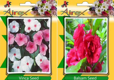 Airex Vinca and Balsam Seed(15 per packet)