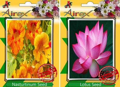 

Airex Nasturtium Mixed, Lotus Seed(25 per packet)
