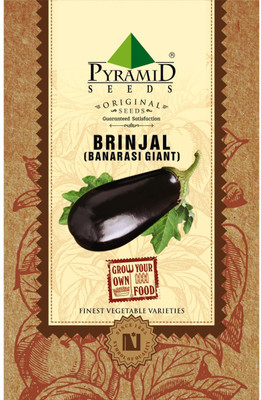 

Pyramid Seeds Brinjal Banarshi Giant Seed(200 per packet)