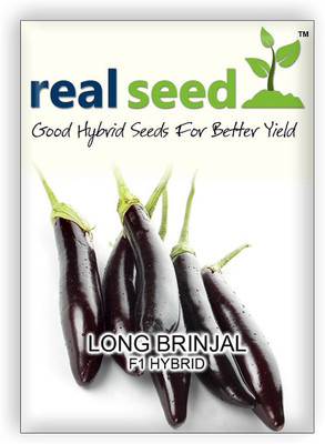

Real Seed Long Brinjal F1 Seed(50 per packet)