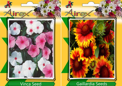 Airex Vinca and Gaillardia Seed(15 per packet)