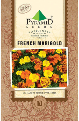 

PYRAMID SEEDS Flower Seed(75 per packet)