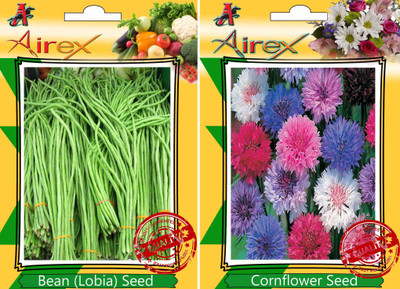 Airex Bean (Lobia), Cornflower Seed(15 per packet)