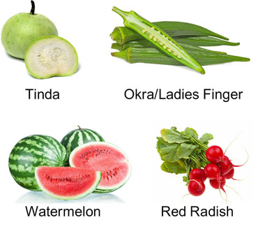 

Easy Gardening Tind, Okra / Ladies Finger, Watermelon, Red Radish Seed(10 per packet)