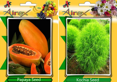 

Airex Papaya and Kochia Seed(15 per packet)