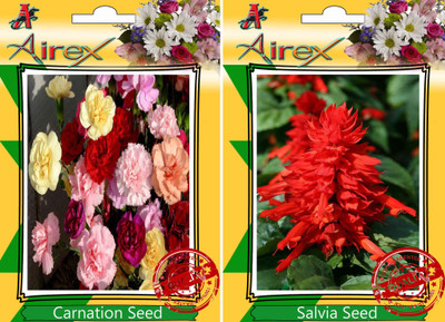 

Airex Carnation, Salvia Seed(15 per packet)