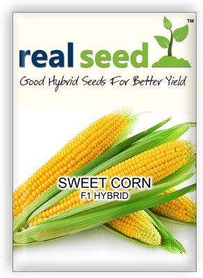 

Real Seed Sweet Corn Seed(5 Per Packet)
