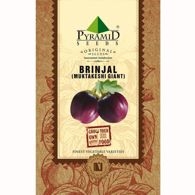 

Pyramid Seeds Brinjal Muktakeshi Giant Seed(200 per packet)