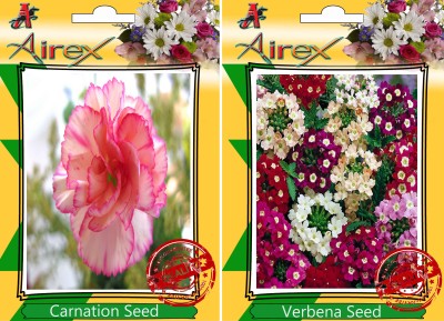 Airex Carnation, Verbena Seed(25 per packet)