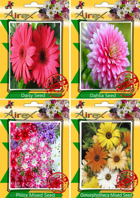 

Airex Daisy, Dahlia, Phlox Mixed, Dimorphotheca Mixed Seed(30 per packet)