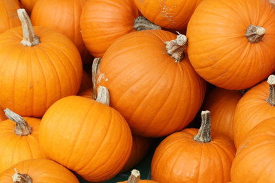 

National Gardens Giant Pumpkin Seeds by National Gardens Seed(5 per packet)