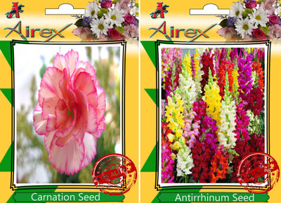 

Airex Carnation, Antirrhinum Snapdragons Seed(25 per packet)