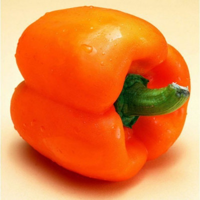 

Nooelec India Capsicum Orange Seed(20 per packet)