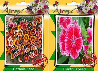 Airex Gazania, Dianthus Seed(20 per packet)