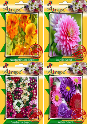 

Airex Nasturtium Mixed, Dahlia, Verbena, Aster Seed(30 per packet)