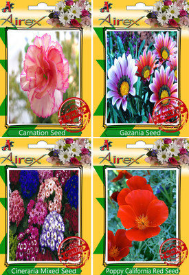 

Airex Carnation, Gazania, Cineraria Mixed, Poppy California Red Seed(30 per packet)