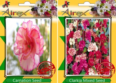 Airex Carnation, Clarkia Mixed Seed(25 per packet)