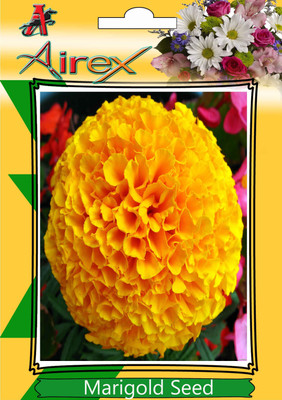 

Airex Marigold Seed(60 per packet)