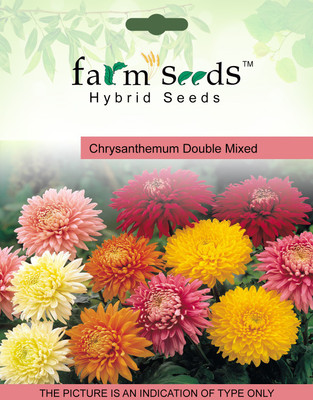 

FARM SEEDS Chrysanthemum Double Mixed Seed(100 per packet)