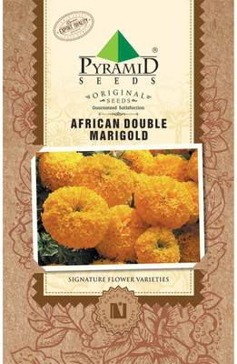 

PYRAMID SEEDS Marigold African Double Seed(75 per packet)