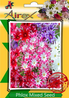 

Airex Phlox Mixed Winter Flower Seed(25 per packet)