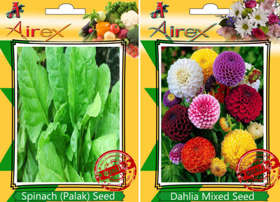 

Airex Spinach, Dahlia Mixed Seed(15 per packet)