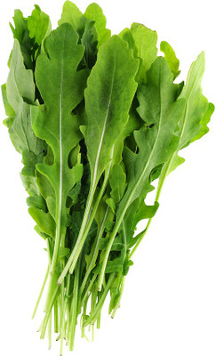

Raunak Seeds Rocket Seed(50 per packet)