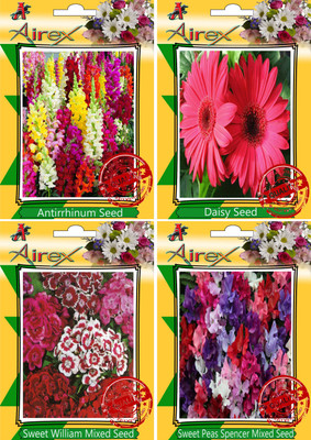 

Airex Antirrhinum, Daisy, Sweet William Mixed, Sweet Peas Spencer Mixed Seed(30 per packet)