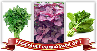 

Real Seed Vegetable Combo Pack - Coriander, Red Spinach Amarnath, Green Spinach F1 Hybrid Seeds Seed(3 Per Packet)