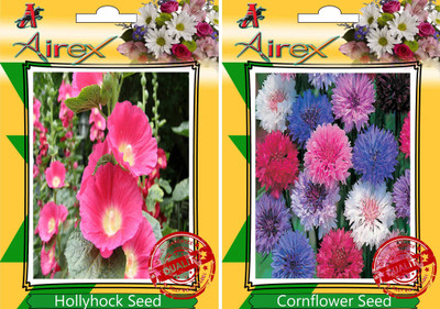 

Airex Hollyhock, Cornflower Seed(15 per packet)