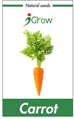 iGrow Carrot Seed(100 per packet)