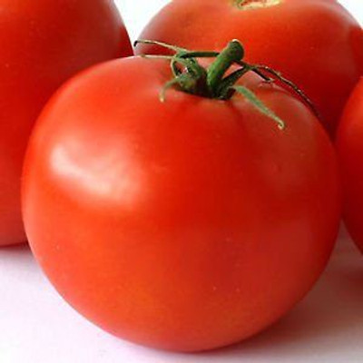 

Nooelec India Tomato Large Red Avimanyu Non Gmo Fruit Vegetable Seeds Seed(100 per packet)