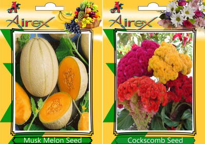 Airex Musk Melon and Cockscomb Seed(20 per packet)
