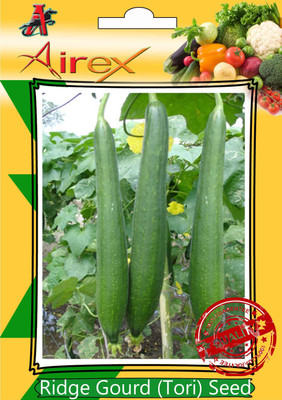 Airex Ridge Gourd Seed(15 per packet)