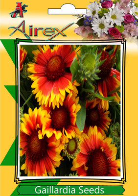 Airex blanket Seed(25 per packet) available at flipkart for Rs.119