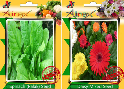 Airex Spinach, Daisy Mixed Seed(15 per packet)