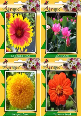 Airex Gaillardia,Lotus,Sungold and Tithonia Seed(20 per packet)