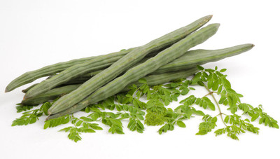 

Seed Factory Drumstick - Moringa Seed(50 per packet)