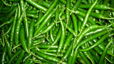

Ecoware Green Chilli Seed(50 per packet)